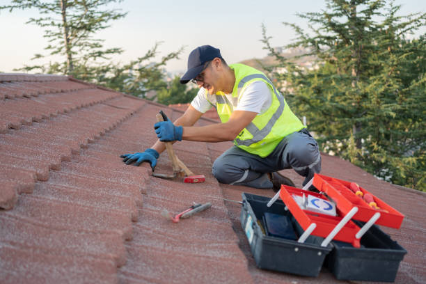 Best Metal Roofing Contractor  in Centerville, IN